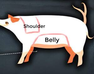 pork shoulder vs pork belly diagram