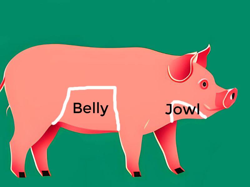 The pork cuts diagram showing the location of pork jowl and pork belly.